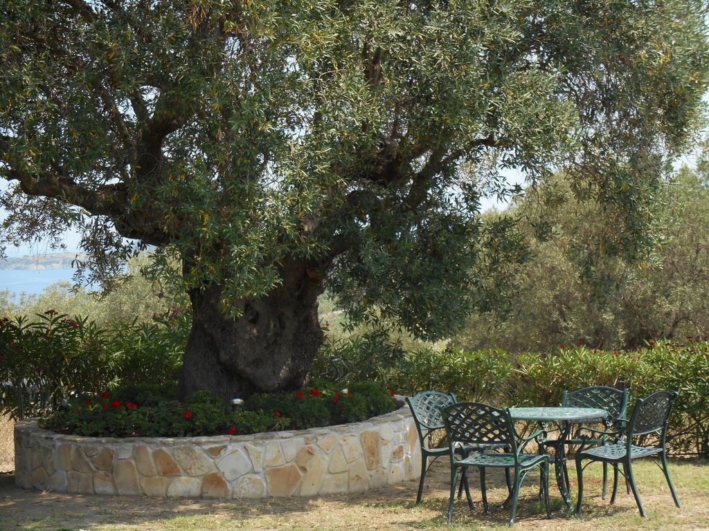 Villa Heliactida House Ormos Panagias Esterno foto